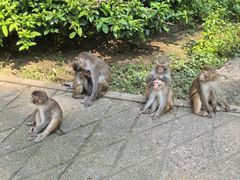 -广西龙虎山风景区