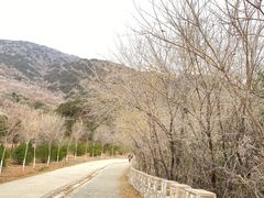 -北京西山国家森林公园