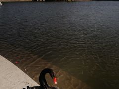 -上海交通大学(闵行校区)