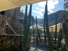 -MOJ coffee(瓯海泽雅水碓坑店)