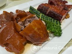 明炉烧鹅-兴悦酒家(环市东路店)