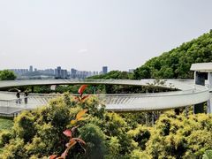 -光明刘冰乳鸽店(光明法政北路店)