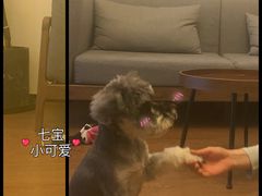 -仰生如卉推拿养生馆(酒仙桥店)