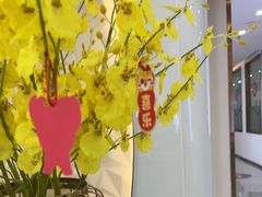 -维乐口腔医院(福清院)