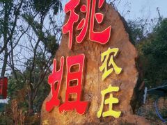 -桃姐农庄老字号(从化温泉店)