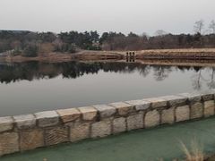 -东海森林温泉