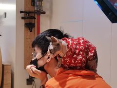 -啵啵喵·猫咖(攀华国际店)