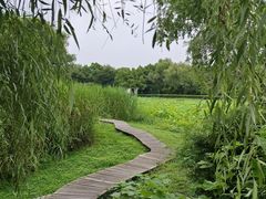 -西溪国家湿地公园