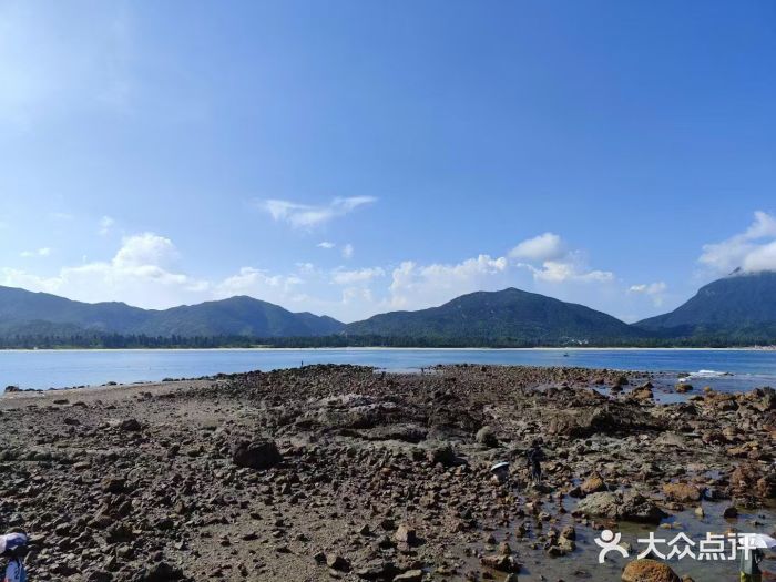 西涌国际滨海旅游区图片