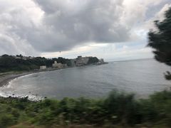 -伊豆观海列车