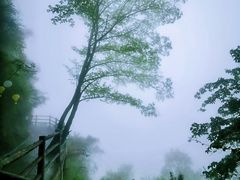 -少华山国家森林公园