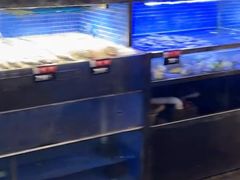-梅林春晓花园餐厅