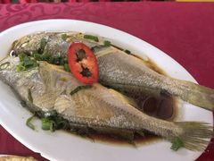 -蛇口康乐快餐鱼仔档(翠苑小区店)