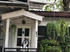 -TrueLove @ Neverland (Husky Cafe)