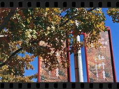 -北京西山国家森林公园