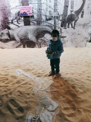 -恐龙探索乐园(磁器口店)