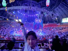 -俄罗斯国家大马戏团