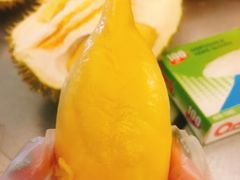 -都念榴莲·城市榴莲