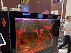 -东四民芳餐厅(世茂工三店)
