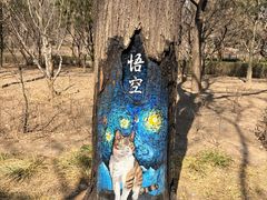 -迎泽公园