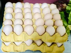 -君莲新城中城苑