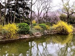 -西苑公园