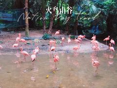 -东部华侨城
