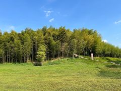 -良渚古城遗址公园