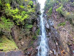 -姑婆山旅游区