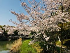 -玉山公园