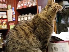 -么凤(波斯富街店)