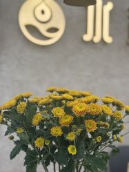 -水沐莲清瑜伽·普拉提