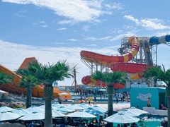 -秦皇岛乐岛海洋王国