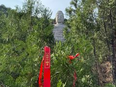 -蒙山大佛景区