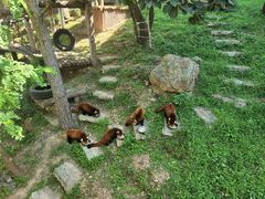 -大连森林动物园