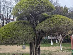 -经纬广场