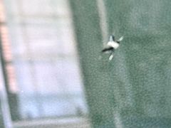 -鲨鱼皮汽车凹陷玻璃修复(静安店)