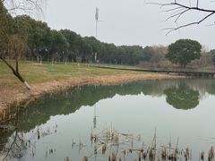 -贡湖湾湿地公园