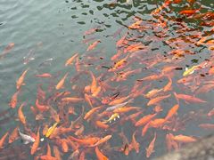 -温州永嘉书院