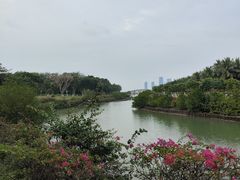 -万绿园