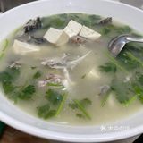 🐟无鱼生不夏天#