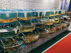 水产区-仙螺岛海鲜自助餐厅(总店)