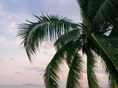 -三亚湾海居铂尔曼度假酒店