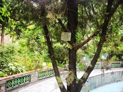 -广州神农草堂中医药博物馆
