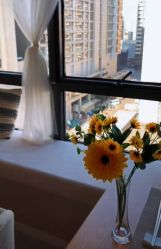 大堂-韩国淼美颜皮肤管理官方直营店