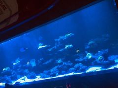 -暹罗酒肆泰餐厅酒吧