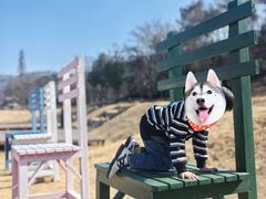 -黄陂区野村谷景区
