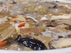 -爱膳菌锅锅(阳南店)