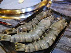 -熊出没日本烧肉放题