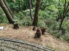 -苏州上方山国家森林公园